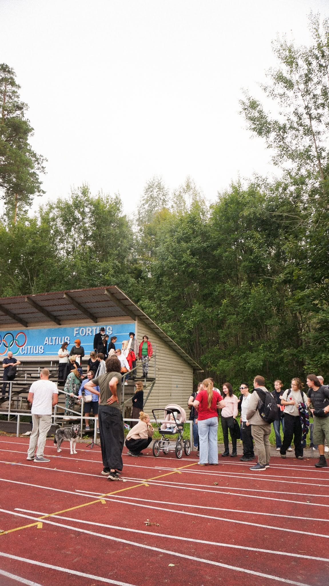 Dzejas nakts pārgājiens 2026 — attēls 5