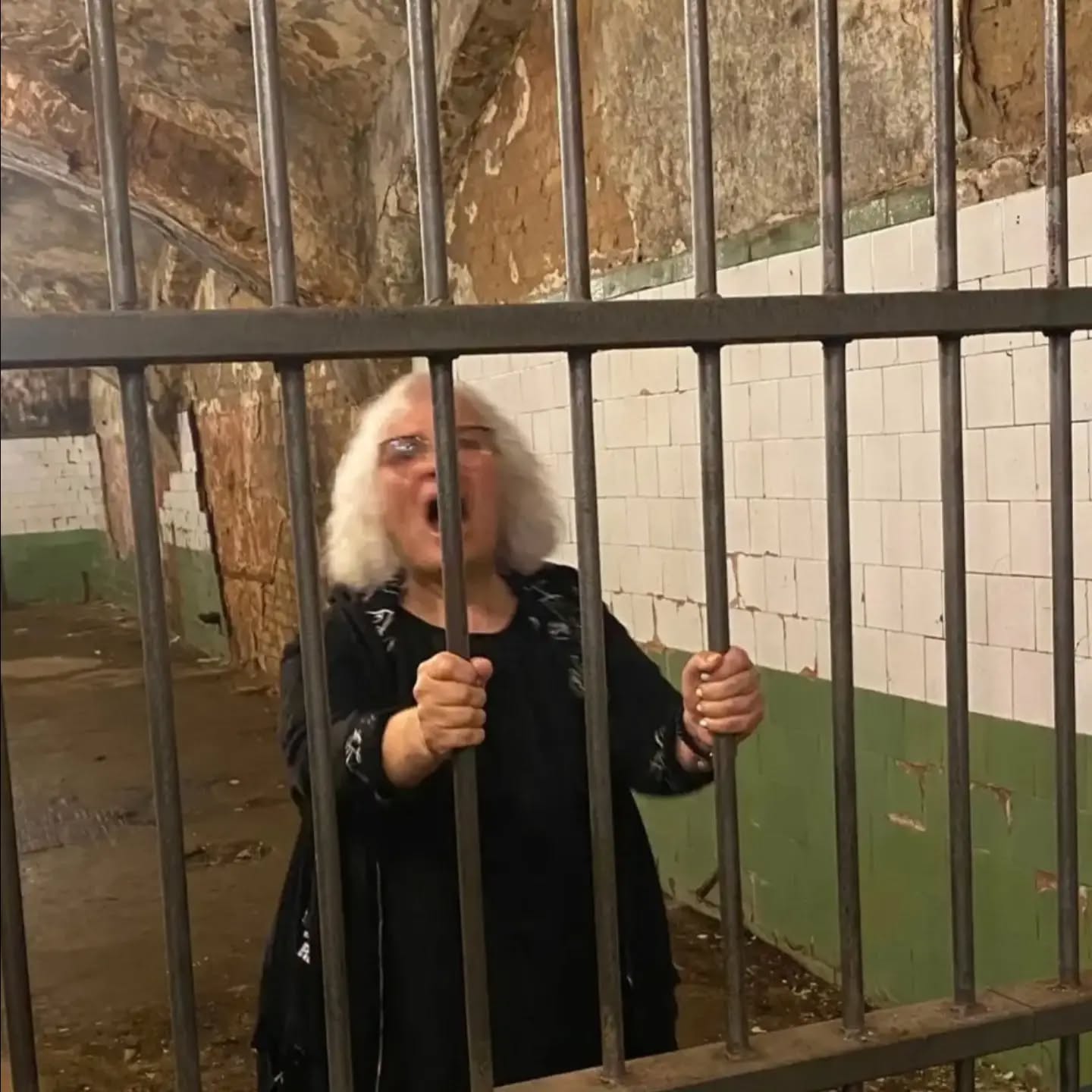 Andra Alpa dzejas krājuma "Vēl apmācies" atklāšana — attēls 19